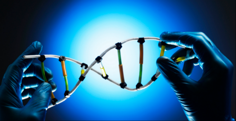 1764902003411698.png 图片5.png